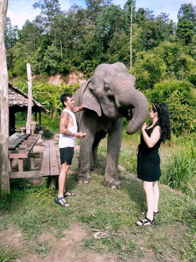 Funky Monkey Cnx - Guesthouse Chiang Mai Exterior foto